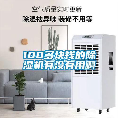 100多塊錢的除濕機(jī)有沒(méi)有用啊