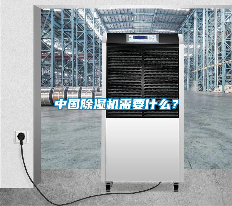 中國除濕機需要什么？