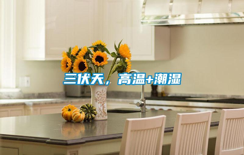 三伏天,高溫+潮濕