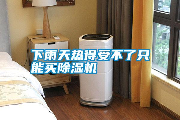 下雨天熱得受不了只能買除濕機(jī)
