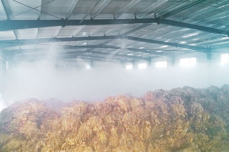 提升煙葉加工質量，高效回潮很重要