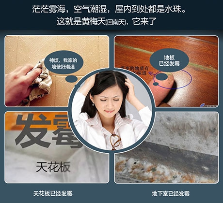 新春別對“濕氣”掉以輕心 新春別對“濕氣”掉以輕心