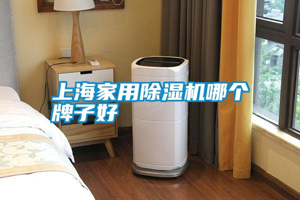 上海家用除濕機(jī)哪個(gè)牌子好