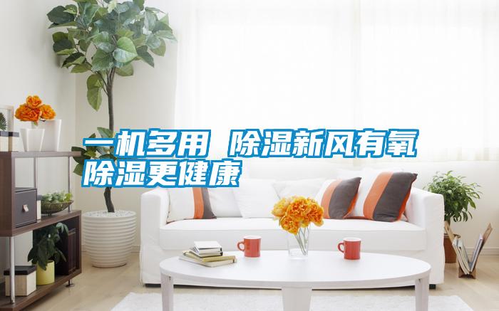 一機多用 除濕新風有氧除濕更健康