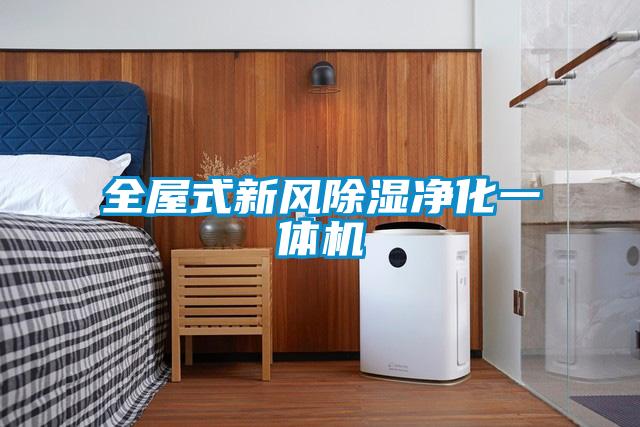 全屋式新風(fēng)除濕凈化一體機(jī)