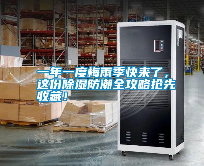 一年一度梅雨季快來了，這份除濕防潮全攻略搶先收藏！