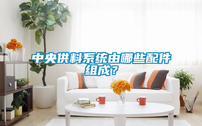 中央供料系統由哪些配件組成？