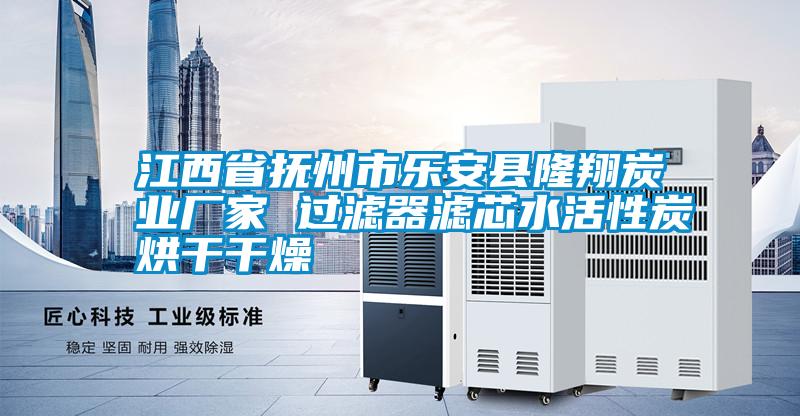 江西省撫州市樂安縣隆翔炭業廠家 過濾器濾芯水活性炭烘干干燥