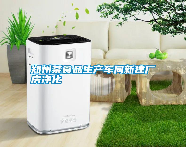 鄭州某食品生產(chǎn)車間新建廠房?jī)艋?/></p>
<p style=