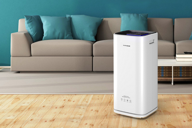 一起和安詩曼把健康空氣帶回家吧 一起和安詩曼把健康空氣帶回家吧