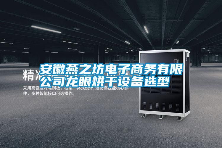 安徽燕之坊電子商務(wù)有限公司龍眼烘干設(shè)備選型