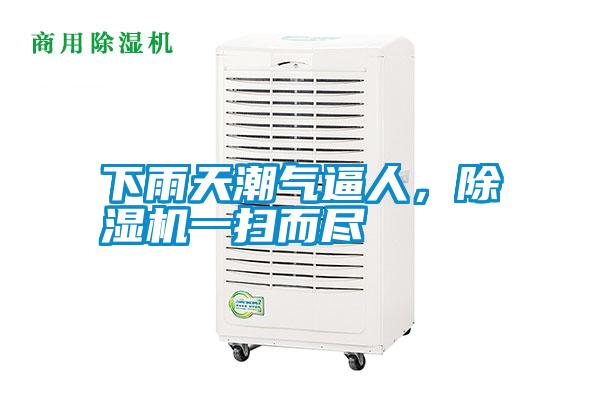 下雨天潮氣逼人，除濕機一掃而盡