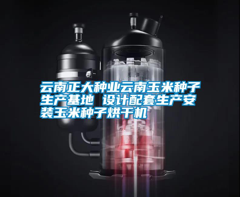 云南正大種業云南玉米種子生產基地 設計配套生產安裝玉米種子烘干機