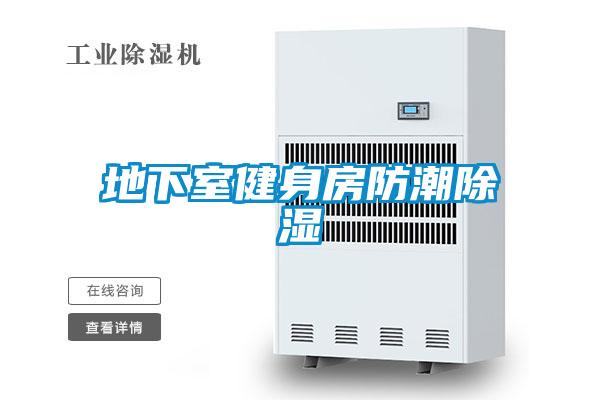 地下室健身房防潮除濕