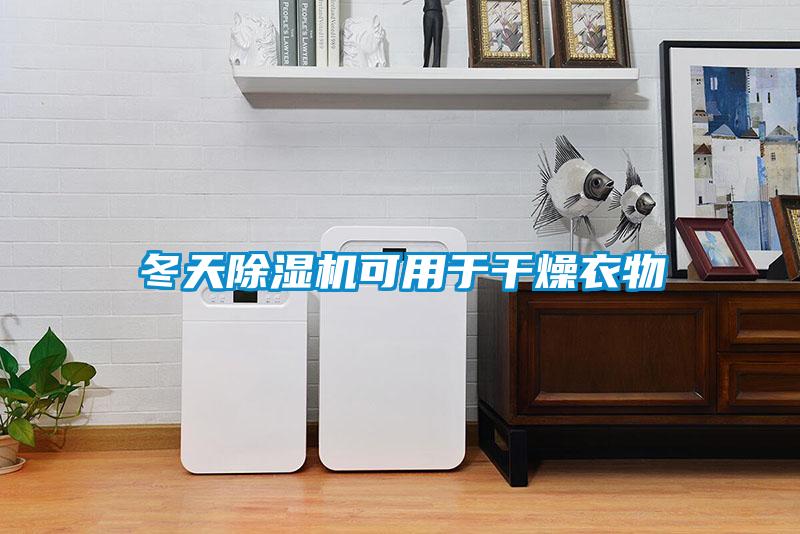 冬天除濕機可用于干燥衣物