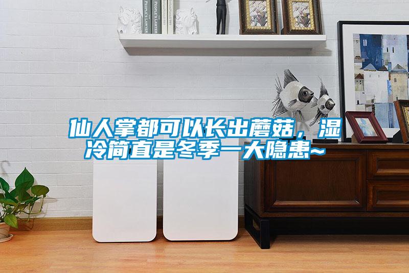 仙人掌都可以長出蘑菇，濕冷簡直是冬季一大隱患~