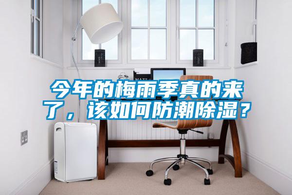 今年的梅雨季真的來了，該如何防潮除濕？