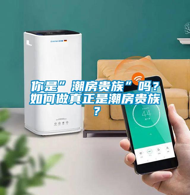 你是”潮房貴族”嗎？如何做真正是潮房貴族？