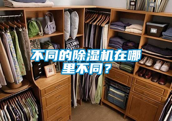 不同的除濕機在哪里不同？