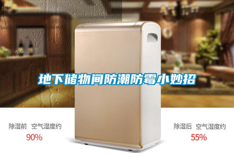 地下儲物間防潮防霉小妙招