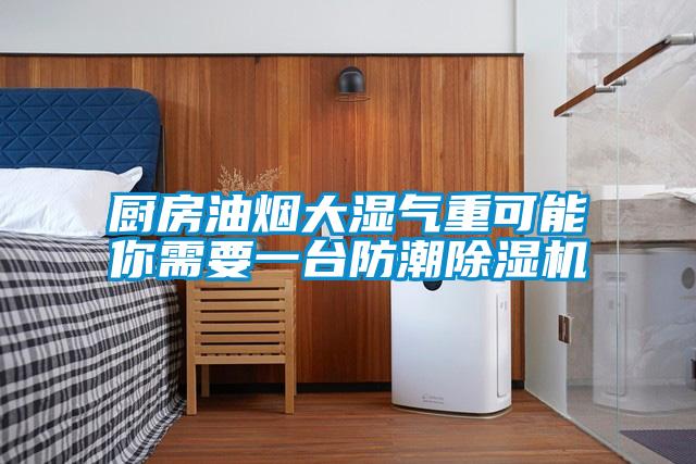 廚房油煙大濕氣重可能你需要一臺防潮除濕機