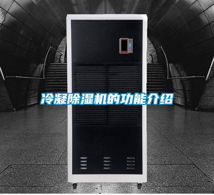 冷凝除濕機的功能介紹