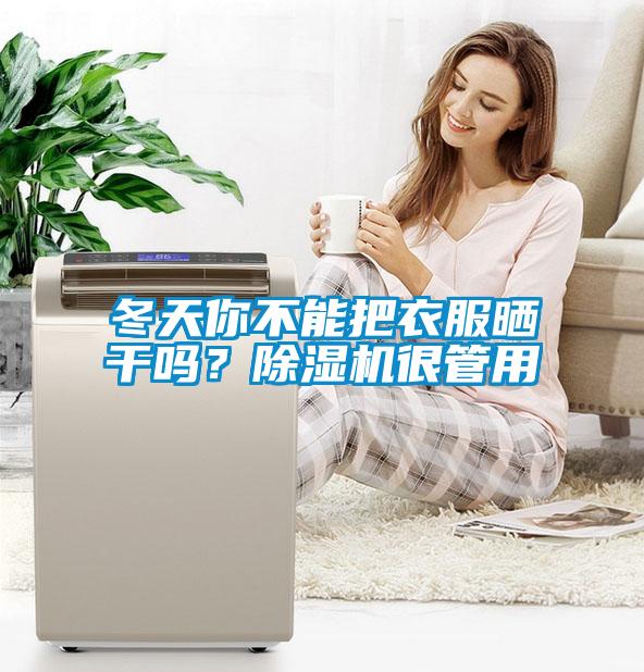 冬天你不能把衣服曬干嗎？除濕機很管用
