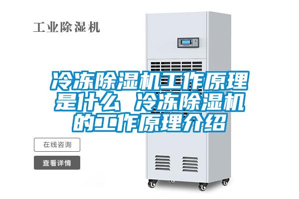 冷凍除濕機工作原理是什么 冷凍除濕機的工作原理介紹