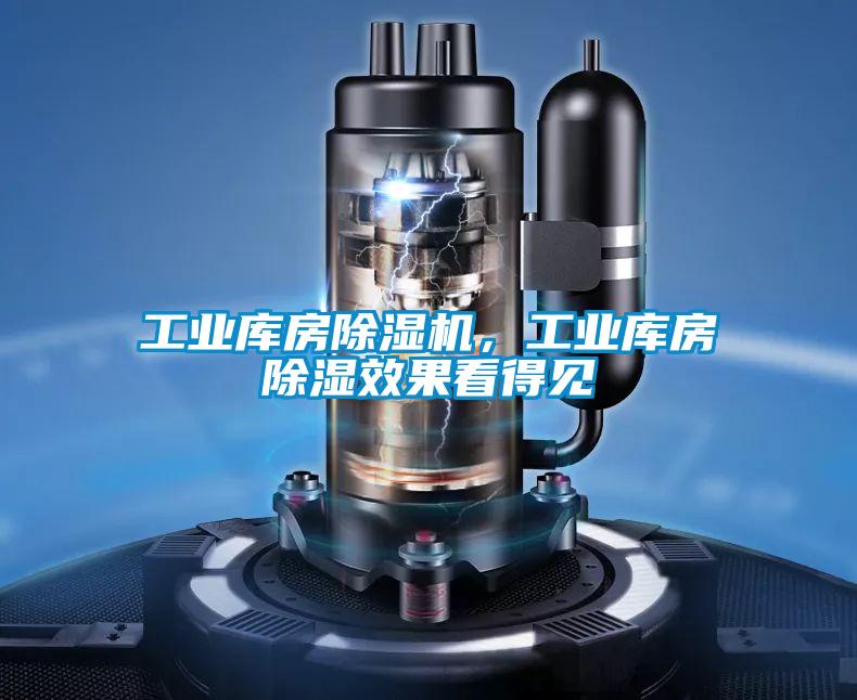 工業(yè)庫(kù)房除濕機(jī)，工業(yè)庫(kù)房除濕效果看得見(jiàn)