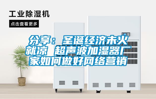 分享:圣誕經濟未火就涼 超聲波加濕器廠家如何做好網絡營銷