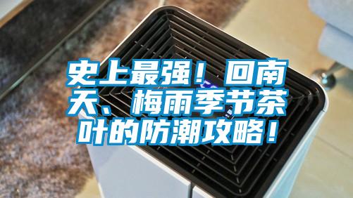 史上最強！回南天、梅雨季節茶葉的防潮攻略！