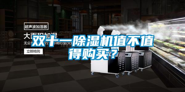 雙十一除濕機(jī)值不值得購(gòu)買？