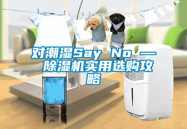 對(duì)潮濕Say No — 除濕機(jī)實(shí)用選購(gòu)攻略
