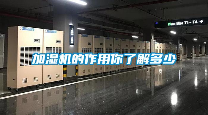 加濕機的作用你了解多少