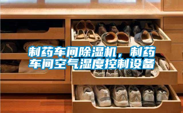 制藥車間除濕機，制藥車間空氣濕度控制設備