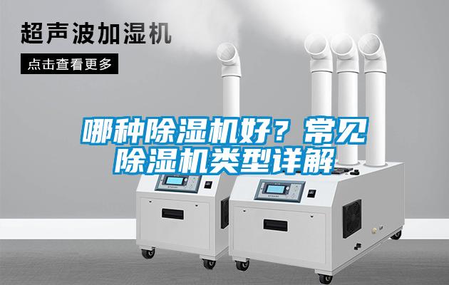 哪種除濕機好？常見除濕機類型詳解