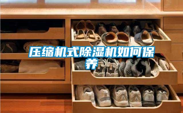 壓縮機(jī)式除濕機(jī)如何保養(yǎng)