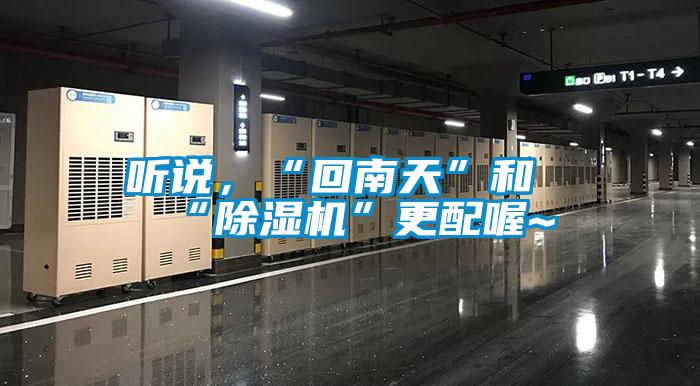 聽說，“回南天”和“除濕機”更配喔~