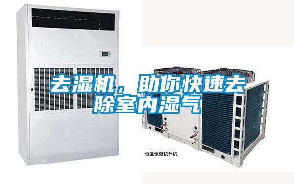 去濕機，助你快速去除室內濕氣