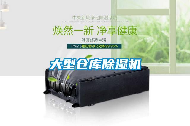 大型倉(cāng)庫(kù)除濕機(jī)