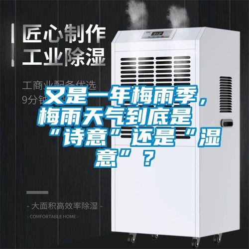 又是一年梅雨季，梅雨天氣到底是“詩意”還是“濕意”？