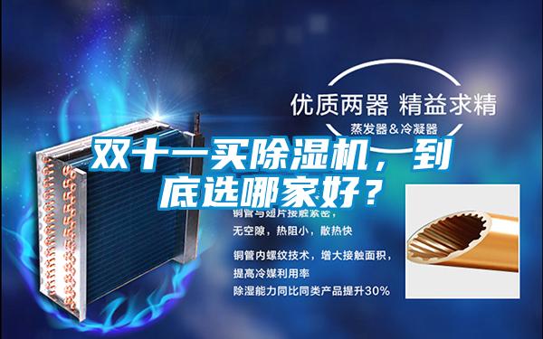 雙十一買除濕機(jī)，到底選哪家好？