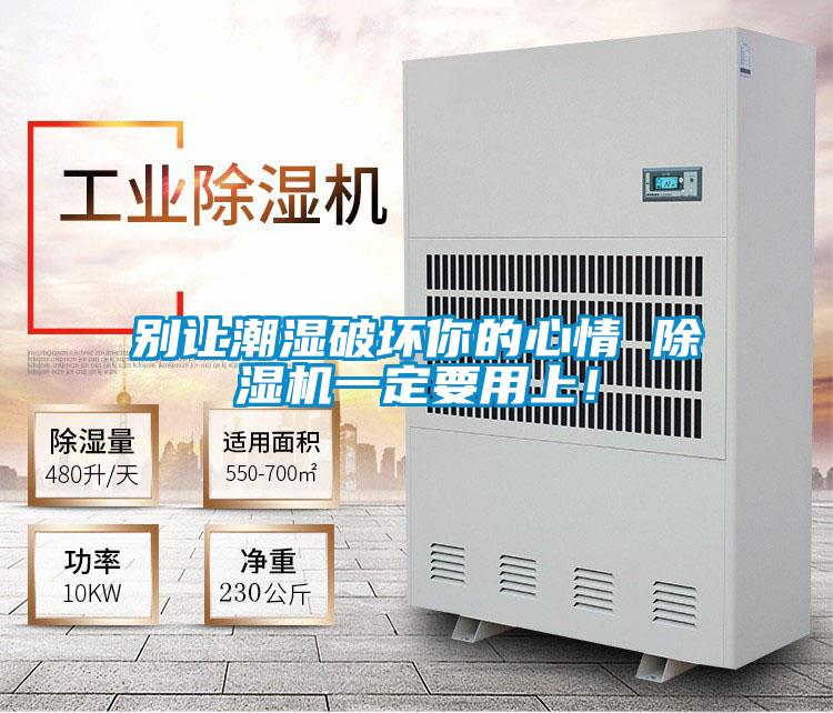 別讓潮濕破壞你的心情 除濕機一定要用上！