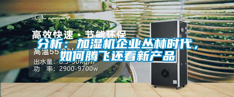 分析：加濕機企業叢林時代，如何騰飛還看新產品