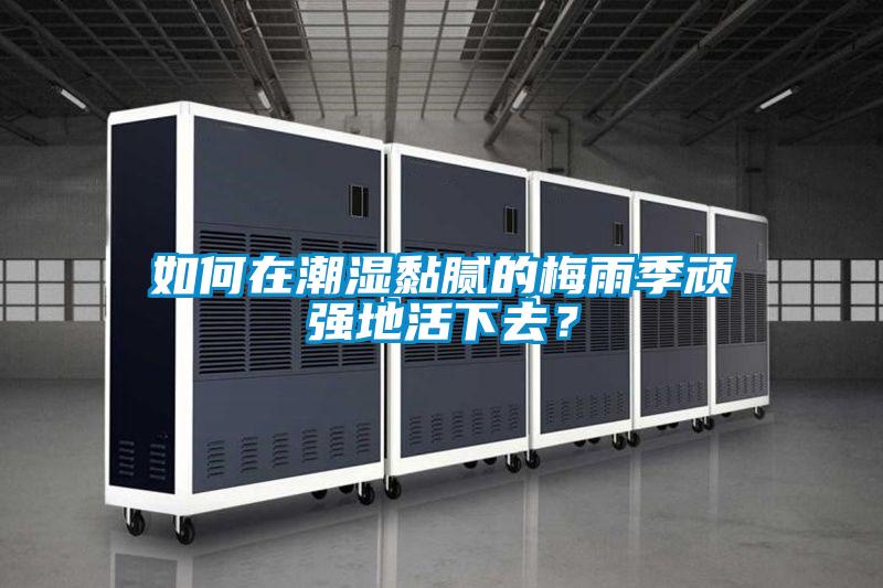 如何在潮濕黏膩的梅雨季頑強地活下去？