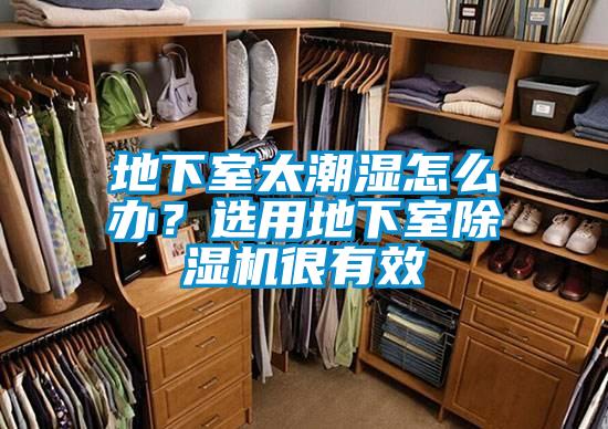地下室太潮濕怎么辦？選用地下室除濕機很有效