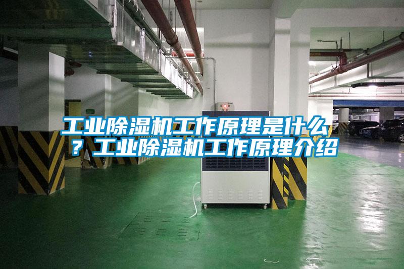 工業除濕機工作原理是什么 ?工業除濕機工作原理介紹