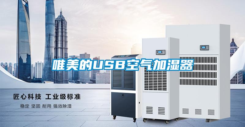 唯美的USB空氣加濕器