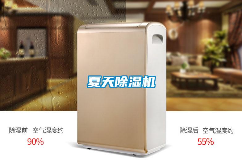 夏天除濕機