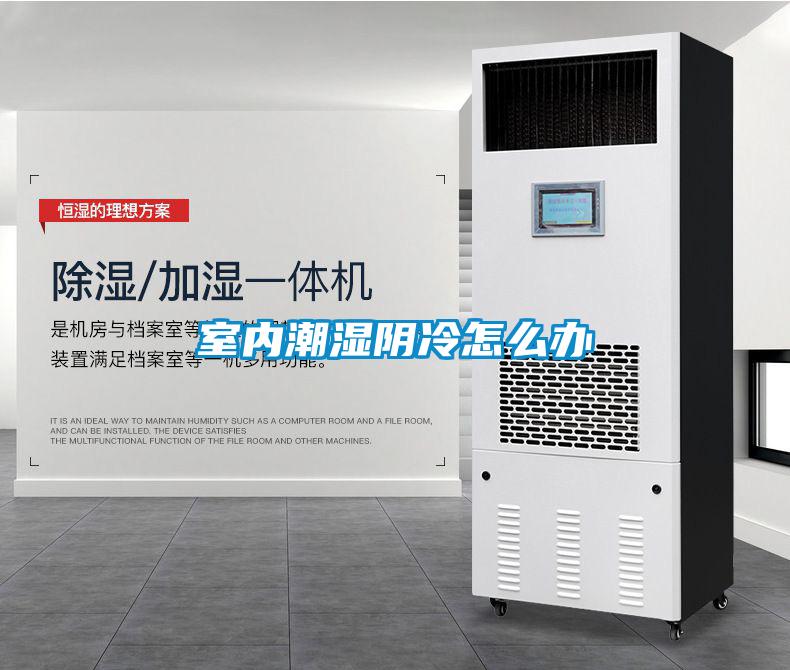 室內潮濕陰冷怎么辦